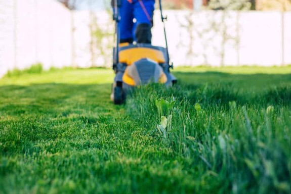 A well-manicured lawn being mowed.