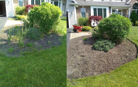 A before and after weeding of a flowerbed.